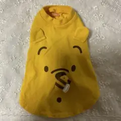 Item thumbnail for item f27c8528-170e-48aa-a447-003a095a379d