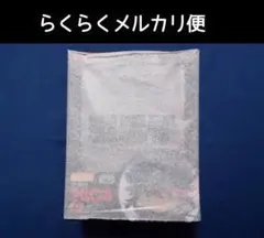 【国内正規品・未開封】ねんどろいど 纏流子 神衣鮮血Ver.