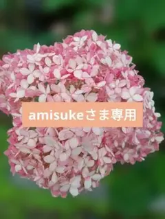 amisukeさま専用＊ヘッドトルソーお2つ＊ナチュラル