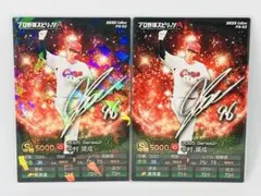 Item thumbnail for item acc911a9-6f19-4914-9723-59c8a6c92137