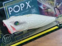 限定カラー Megabass POPX JSY限定カラー 朱鷺 (toki) - メルカリ