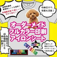 アイロンプリントシート　フルカラー印刷　制作　オーダー　Tシャツ　スウェット　2