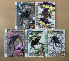 2026年最新】ティティウスシロカブトの人気アイテム - メルカリ