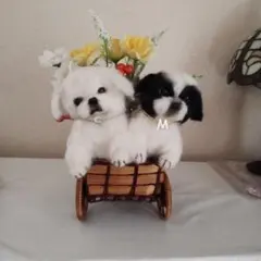 購入可能です☆羊毛フェルト【ペキニーズ】犬 ※他の犬種のオーダーも