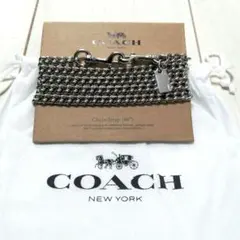 ★最終値下げ【新品未使用】コーチ バッグチェーン ショルダーストラップ シルバー