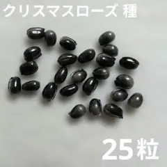 クリスマスローズ 種 25粒のサムネイル
