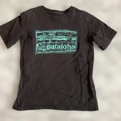 【A3998】Patagonia/キッズ/半袖/Tシャツ/XS/110-120㎝