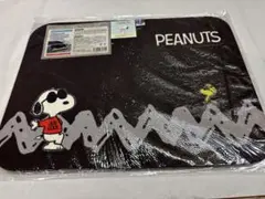 Item thumbnail for item 1dc8c2b7-6919-49f3-9134-2acf465e9f57