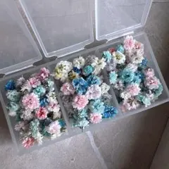 極小サイズ かすみ草 MIX 約200粒 ドライフラワー 花材 - メルカリ