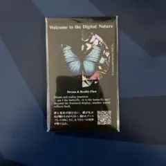 Item thumbnail for item 795d13b1-5fa5-4d81-b67c-86601a3d37fc