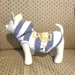 フード付き犬服 青と白のストライプ