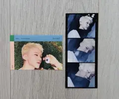 seventeen SECTOR17 ホシくん