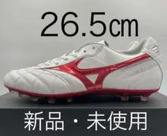 【新品・未使用】モレリア2JAPAN AG p1ga250360