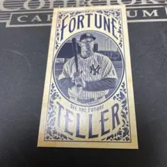 MLB ジャッジ　RC FT