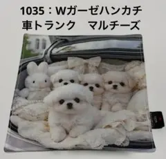 1035：Wガーゼハンカチ　車トランク　マルチーズ