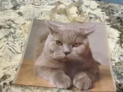 【 1回使用　希少】猫　ブリティッシュショートヘアー　ショッパー　エコバッグ