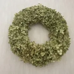 アナベルのドライフラワーリース 緑色
