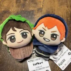 ハイキュー ちびぐるみ アニマルポンチョ 及川徹 日向翔陽