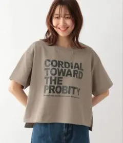 ヘビロッTEEワイドプリントT　グローバルワーク カットソー・Tシャツ