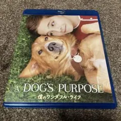 A DOG'S PURPOSE 僕のワンダフル・ライフ ブルーレイ