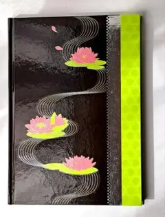 遙かなる時空の中で5 トレジャーBOX特典　原画資料集