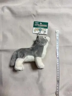 リアル野生動物 マスコット オオカミ ぬいぐるみ