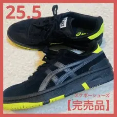 【最終価格‼️】アシックス スニーカー VIC NBD スケボー 25.5