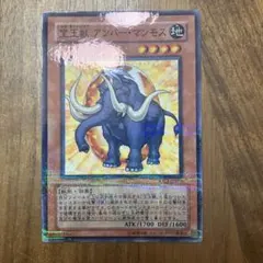 2026年最新】宝玉獣パラレルの人気アイテム - メルカリ
