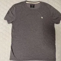 【未使用に近い】アバクロ　夏用Tシャツ