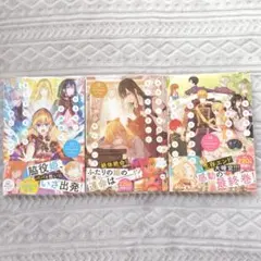 ある日、お姫様になってしまった件について 11-13巻セット