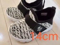 Item thumbnail for item 2555fbb6-d293-4c82-b233-eb2ef712f995