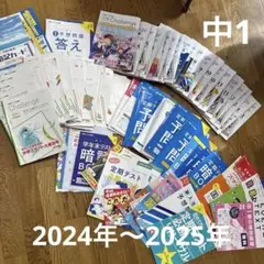 【2024年度版 未記入】ピグマキッズ 3年生 4〜2月　＋　きらめき算数脳２冊 2024年度版 未記入】ピグマキッズ 3年生 4〜2月 ＋ きらめき算数脳2冊
