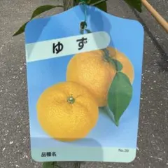 ゆず　＊同梱推奨商品のサムネイル