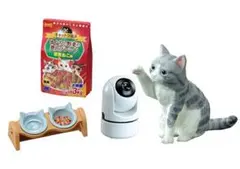 ＊専用＊　　　　リーメント　ぷちサンプル　猫田さんの日常　⑤ご飯まだかニャー