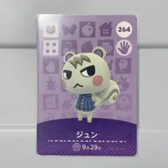 任天堂 - 【ないんちぇ様】amiiboカード　 ジュン＋2枚 Nintendo Switch - あつ森 amiiboカード ジュンの通販 by 94shop