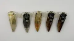 LIVENCICADA セミルアー 9個セット 羽根　トップウォーター バス釣り LIVENCICADA セミルアー 9個セット 羽根 トップウォーター バス釣り
