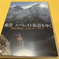 Item thumbnail for item 7b010994-66d8-44cb-879e-a76d5ded5703