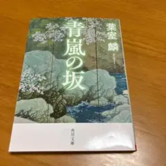 青嵐の坂　m66