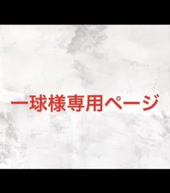一球様専用ページ