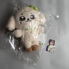 2026年最新】ive minive ユジン カンアンジの人気アイテム - メルカリ