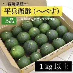 宮崎県産 平兵衛酢 ヘベス 露地物 無農薬 1キロ 今季最終 - メルカリ