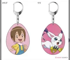 デジモンアドベンチャー　両面アクリルキーホルダー 八神ヒカリ&テイルモン