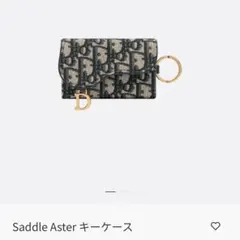 DIOR Saddle Aster キーケース