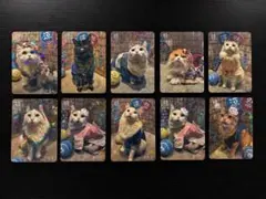 猫カフェMOCHA 三ノ宮店　涼祭 トレーディングカード 10枚セットのサムネイル