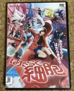 新品ケース交換済み 映画 はたらく細胞 DVD - メルカリ