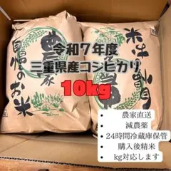 農薬不使用 令和7年産コシヒカリ 天日干し 新鮮もみすり立て 玄米5キロ