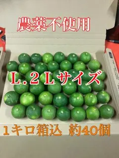徳島県産 露地すだち 2L 〜3L1キロ入り朝収穫発送します - メルカリ