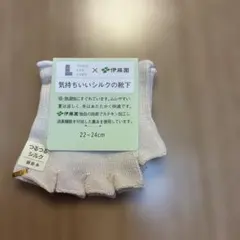 Tabio × 伊藤園 気持ちいいシルクの靴下 5本指 22-24cmのサムネイル