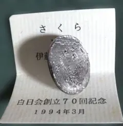 セイムチャン隕石 Seymchan パラサイト隕石 オリビン 標本 491 - メルカリ