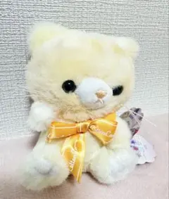 コットンキャンディーキャットドリーミー